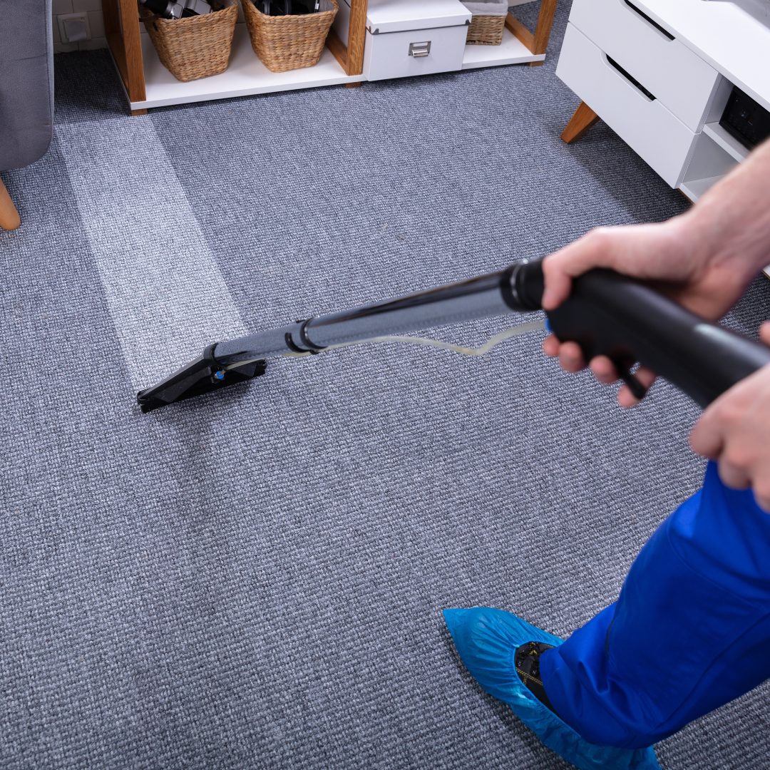 Professional carpet cleaning tips and steam cleaning guide