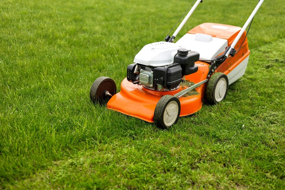 Grass Cutting