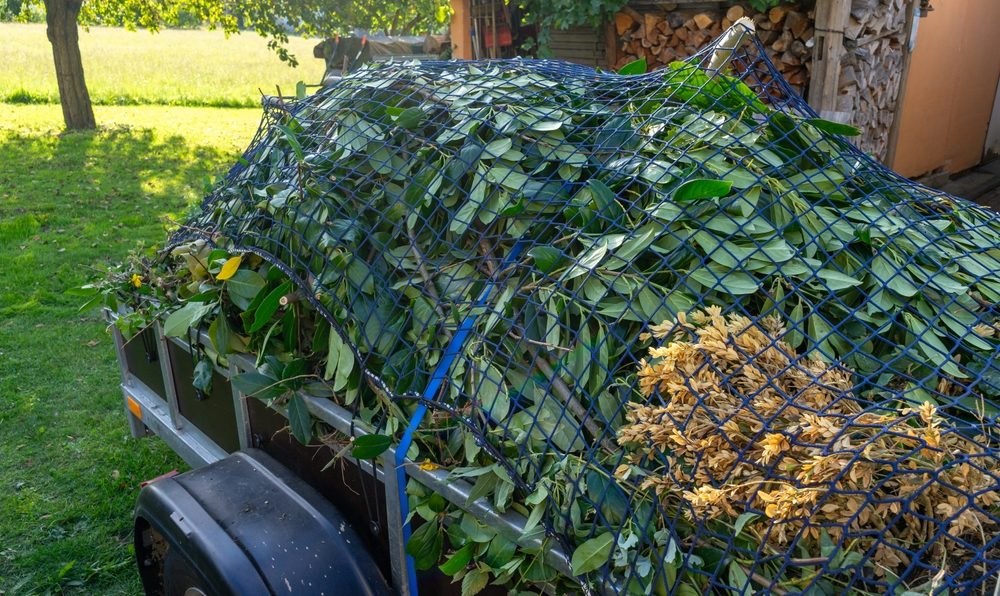 Green Waste Removal