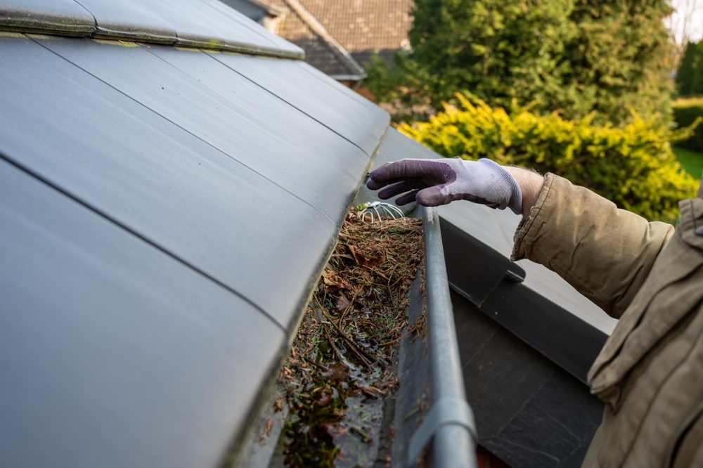 Professional gutter cleaning