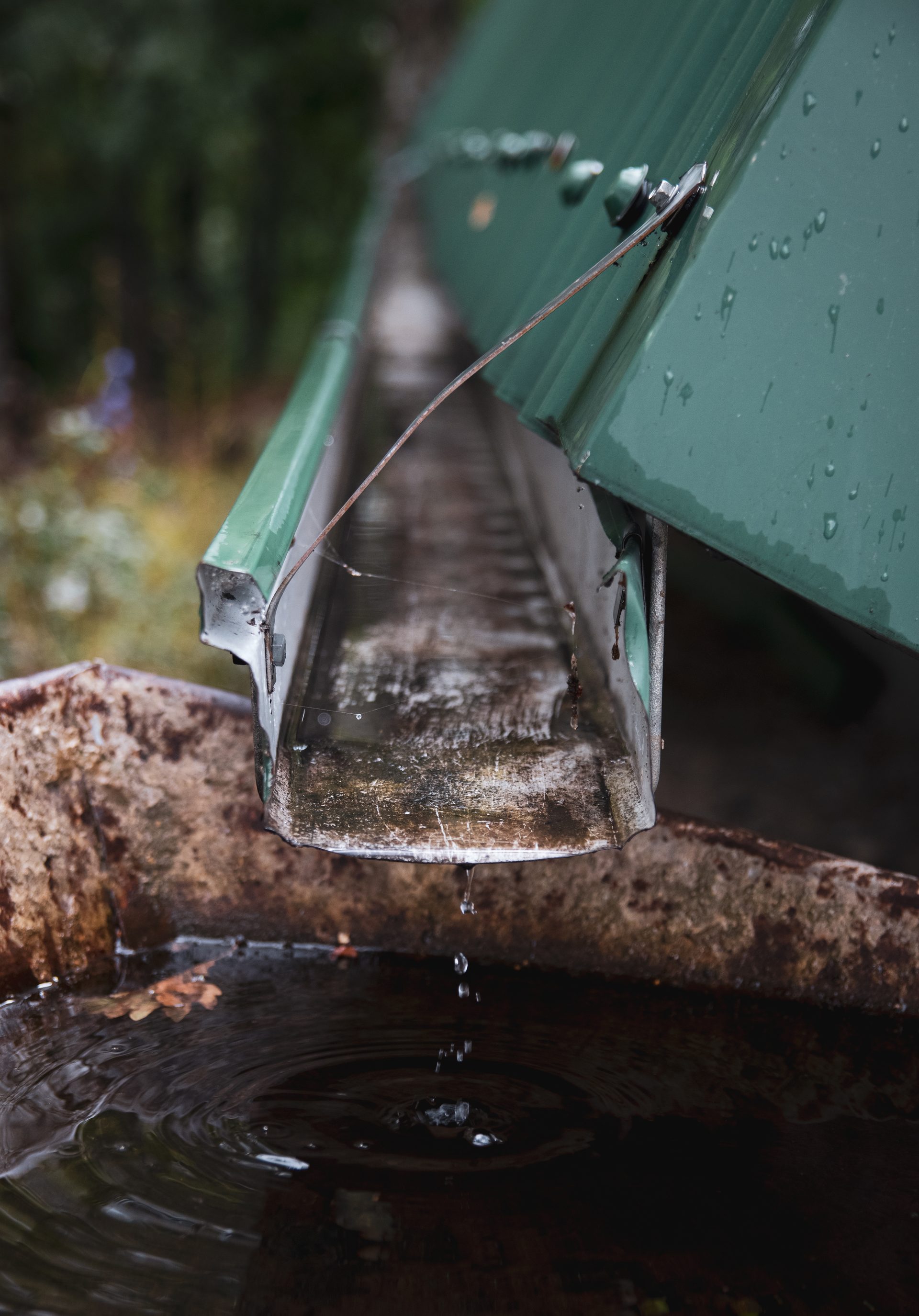 Professional gutter cleaning tips for storm protection