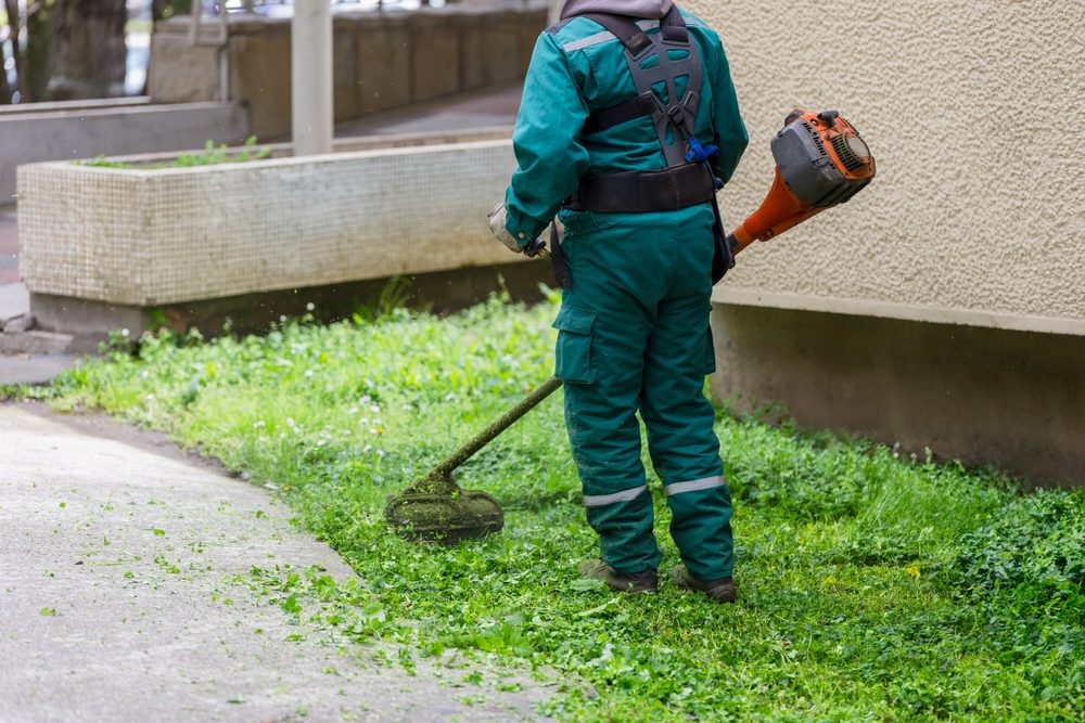 Weed Control